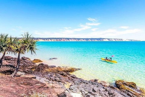 Half-Day Kayak With Dolphins And 4WD Beach Drive From Rainbow Beach - Find Attractions 5