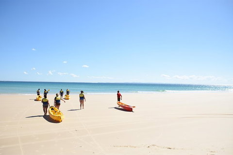 Half-Day Kayak With Dolphins And 4WD Beach Drive From Rainbow Beach - Find Attractions 10