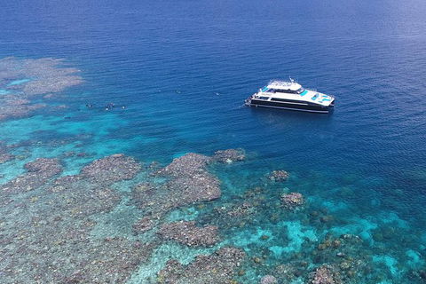 Calypso Outer Great Barrier Reef Cruise From Port Douglas - Find Attractions 1