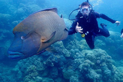 Calypso Outer Great Barrier Reef Cruise From Port Douglas - Find Attractions 6