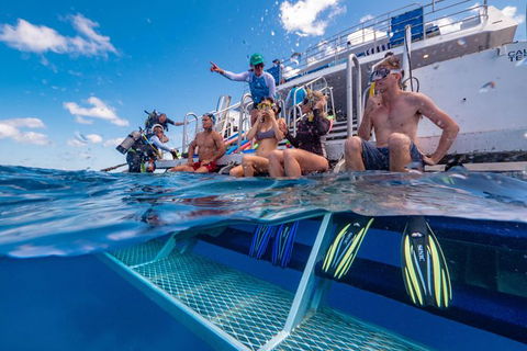 Calypso Outer Great Barrier Reef Cruise From Port Douglas - Find Attractions 4