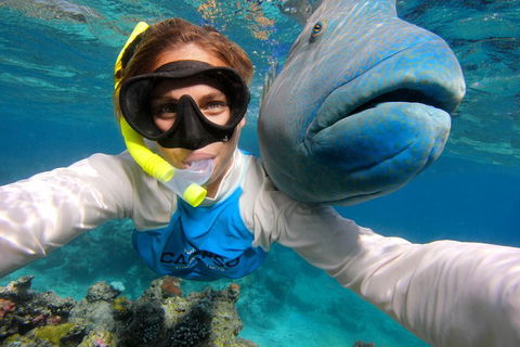 Calypso Outer Great Barrier Reef Cruise From Port Douglas - Find Attractions 5