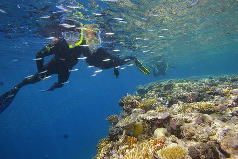Calypso Outer Great Barrier Reef Cruise From Port Douglas - Find Attractions 3