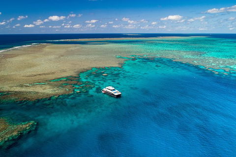 Calypso Outer Great Barrier Reef Cruise From Port Douglas - Find Attractions 12