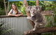 Hartley\'s Crocodile Adventures Day Trip From Palm Cove - thumb 3