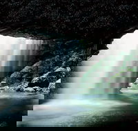 Natural Bridge Glow Worm Night Tour from Gold Coast - Find Attractions