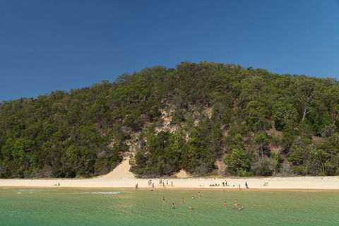 All Inclusive Dolphin And Tangalooma Wrecks Cruise Departing Gold Coast - Find Attractions 3