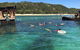All Inclusive Dolphin And Tangalooma Wrecks Cruise Departing Gold Coast - thumb 9