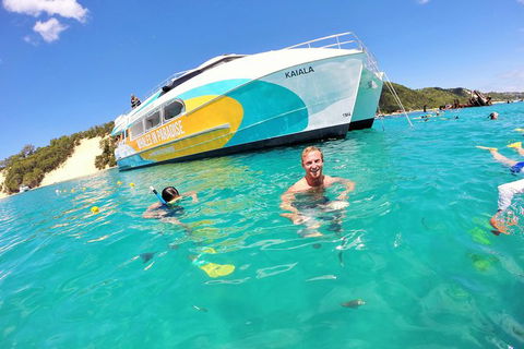 All Inclusive Dolphin And Tangalooma Wrecks Cruise Departing Gold Coast - Find Attractions 2