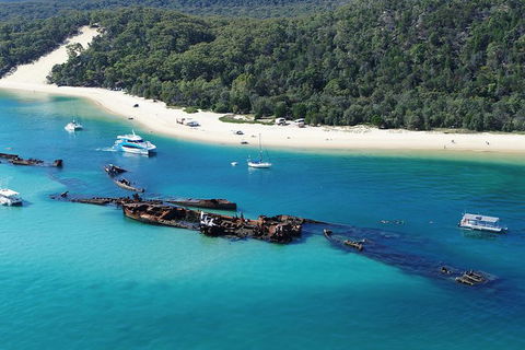 All Inclusive Dolphin And Tangalooma Wrecks Cruise Departing Gold Coast - Find Attractions 5