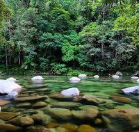 Mossman Silky Oaks to/from Cairns - Find Attractions