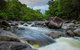 Cape Tribulation Day Tour - thumb 7