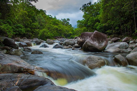 Cape Tribulation Day Tour - Find Attractions 7