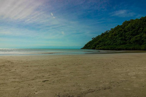 Cape Tribulation Day Tour - Find Attractions 8