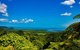 Cape Tribulation Day Tour - thumb 2