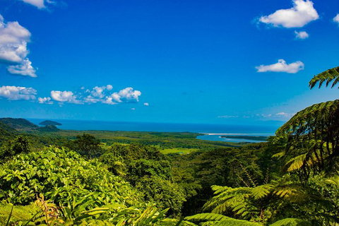 Cape Tribulation Day Tour - Find Attractions 2