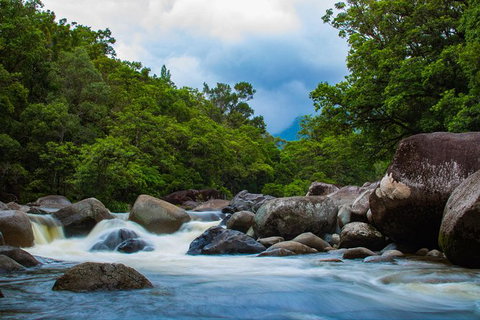 Cape Tribulation Day Tour - Find Attractions 5