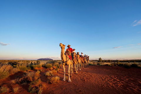 Uluru Small-Group Tour By Camel At Sunrise Or Sunset - Find Attractions 0