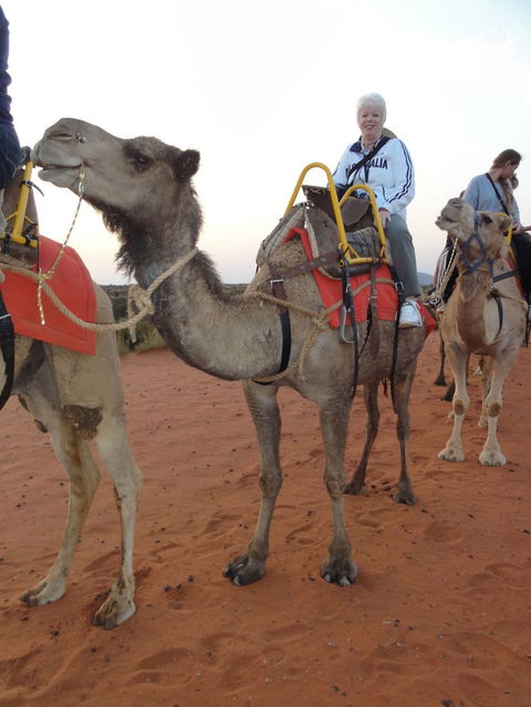 Uluru Small-Group Tour By Camel At Sunrise Or Sunset - Find Attractions 2