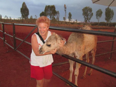 Uluru Small-Group Tour By Camel At Sunrise Or Sunset - Find Attractions 18