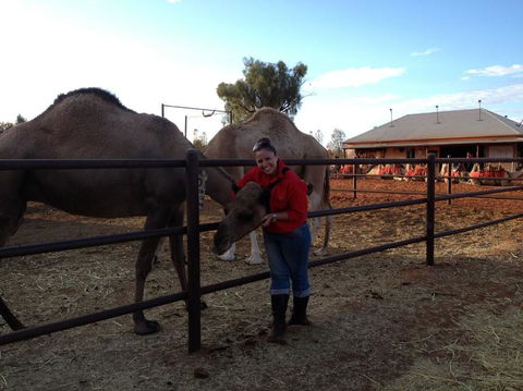 Uluru Small-Group Tour By Camel At Sunrise Or Sunset - Find Attractions 21