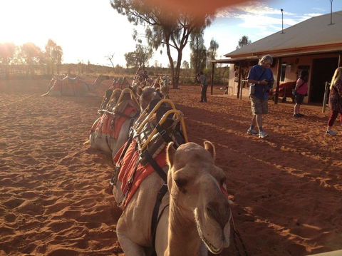 Uluru Small-Group Tour By Camel At Sunrise Or Sunset - Find Attractions 22