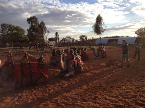 Uluru Small-Group Tour By Camel At Sunrise Or Sunset - Find Attractions 23