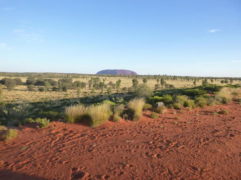 Uluru Small-Group Tour By Camel At Sunrise Or Sunset - Find Attractions 9