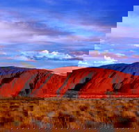 Uluru and Kata Tjuta Experience with BBQ Dinner - Find Attractions