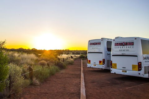 Uluru And Kata Tjuta Experience With BBQ Dinner - Find Attractions 4