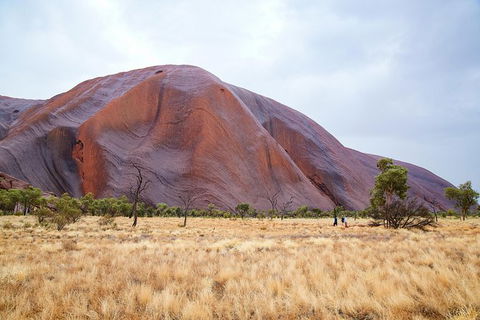Uluru Base And Sunset Half-Day Trip With Optional Outback BBQ Dinner - Find Attractions 10