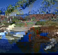 Palm Valley 4WD Tour - Find Attractions