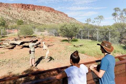 Alice Springs Desert Park General Entry Ticket - Find Attractions 9