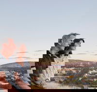 Alice Springs Highlights Half-Day Tour - Find Attractions