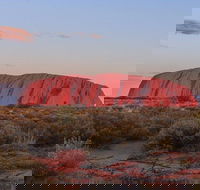 3-Day Uluru Camping Tour from Alice Springs Including Kata Tjuta and Kings Canyon - Find Attractions