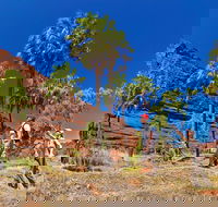 Palm Valley 4WD Tour from Alice Springs - Find Attractions