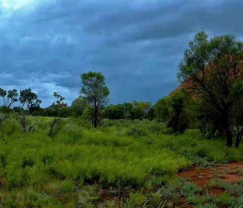 3-Day Ayers Rock To Alice Springs Camping Tour Including Kings Canyon, Kata Tjuta And Uluru - Find Attractions 11