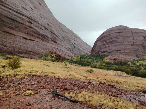 3-Day Ayers Rock To Alice Springs Camping Tour Including Kings Canyon, Kata Tjuta And Uluru - Find Attractions 4
