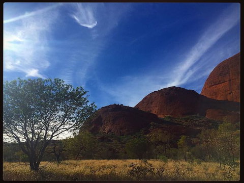 3-Day Ayers Rock To Alice Springs Camping Tour Including Kings Canyon, Kata Tjuta And Uluru - Find Attractions 14