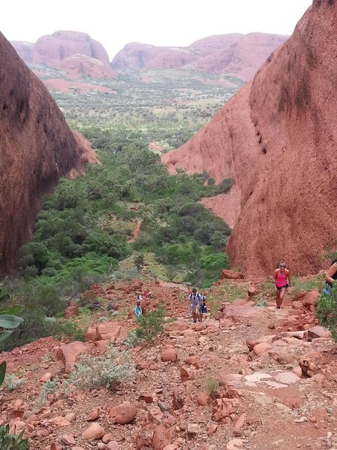 3-Day Ayers Rock To Alice Springs Camping Tour Including Kings Canyon, Kata Tjuta And Uluru - Find Attractions 7