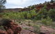 Palm Valley And Hermannsburg 1 Day 4WD Tour - thumb 0
