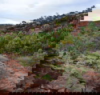 Palm Valley and Hermannsburg 1 Day 4WD Tour - Find Attractions