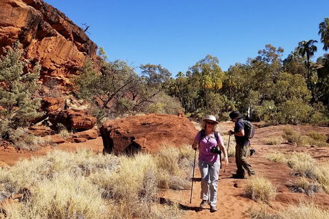 Palm Valley And Hermannsburg 1 Day 4WD Tour - Find Attractions 5