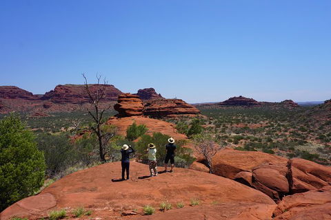 Palm Valley And Hermannsburg 1 Day 4WD Tour - Find Attractions 2