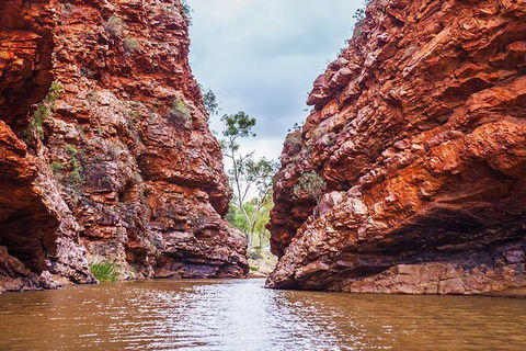 Uluru (Ayers Rock) To Alice Springs One-Way Shuttle - Find Attractions 9