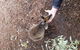 All Inclusive Blue Mountains Small-Group Day Trip From Sydney - thumb 21
