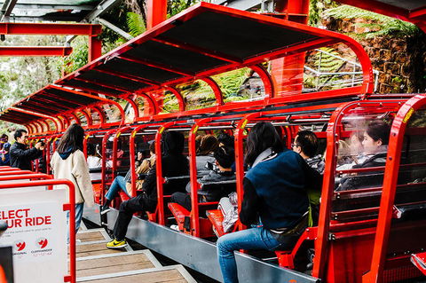 All-Inclusive Blue Mountains Day Trip With River Cruise - Find Attractions 7