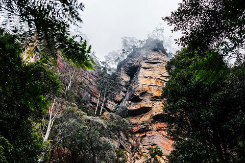 All-Inclusive Blue Mountains Day Trip With River Cruise - Find Attractions 3