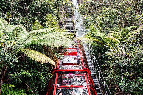 All-Inclusive Blue Mountains Day Trip With River Cruise - Find Attractions 6