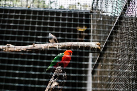 All-Inclusive Blue Mountains Day Trip With River Cruise - Find Attractions 17